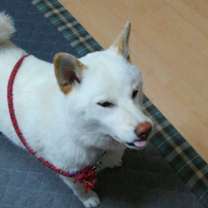 705843e6 289b 490c be38 c236a17ef27b