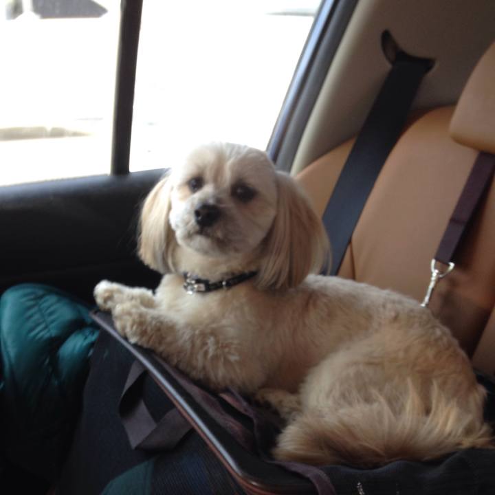 70585605 85f6 4bb6 aa0b fb19826a1fdb