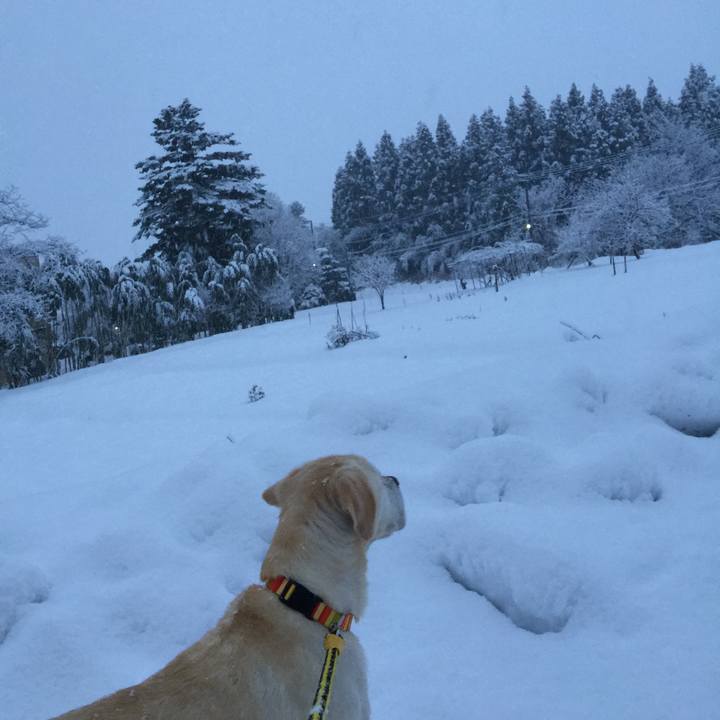 7058bb54 e54c 40bc bb84 7a3c3063f84e