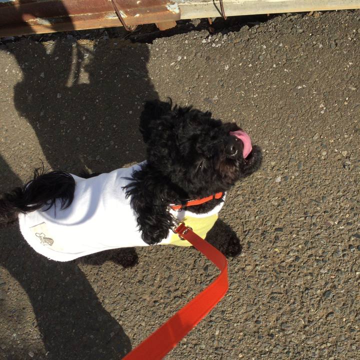 705902b8 eb32 47cb 852c 01003d51d6f6