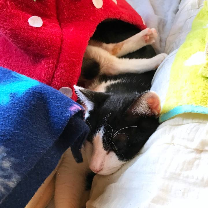 70597cb4 39e3 4e73 a39b 0c6804484994