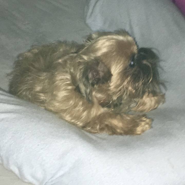 7059a013 92a2 4b1b 96da 1c9e059c542e