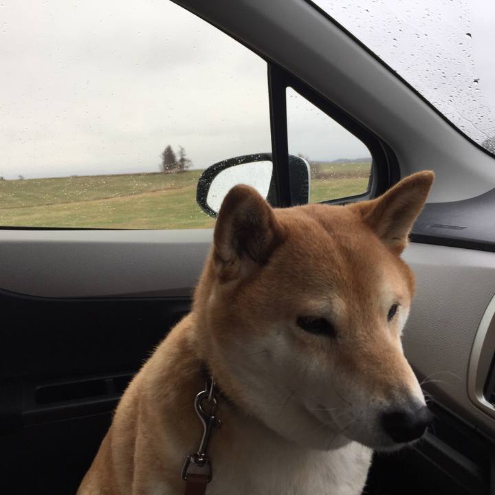 705a4529 5103 40d7 901a f3acb8b16b2d