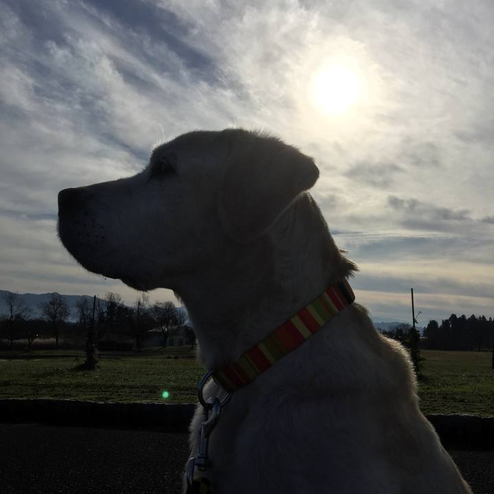 705a4d04 d319 4f31 aeba 8459123bf908