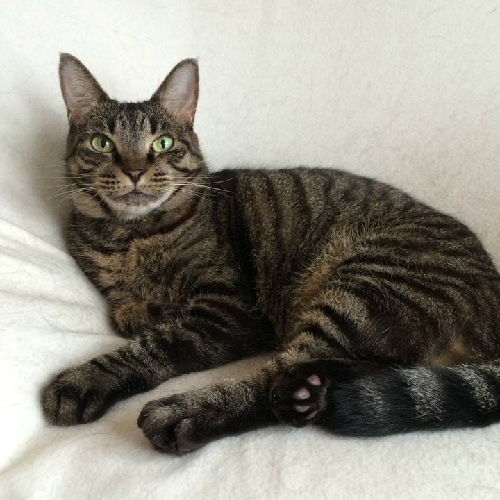 705a558c d0ec 4611 9f87 35b7aba99c54