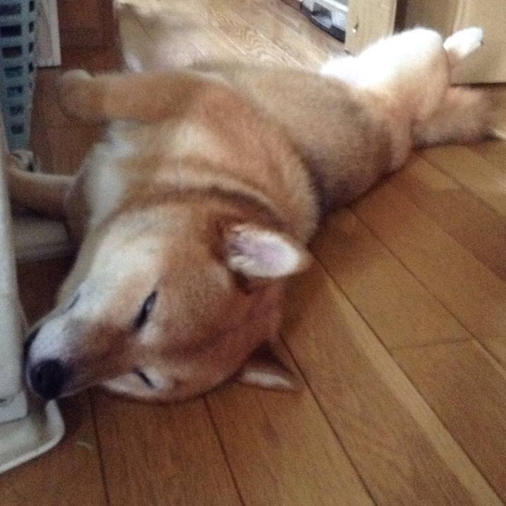 705a7662 fea7 4de9 bb04 922e825edab5