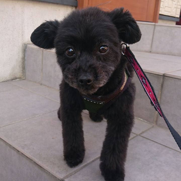 705ad461 7d50 443a 99ac 7208739ce3e5