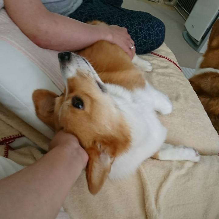 705af5a2 ba50 4cf0 bb57 50a5691c8eda