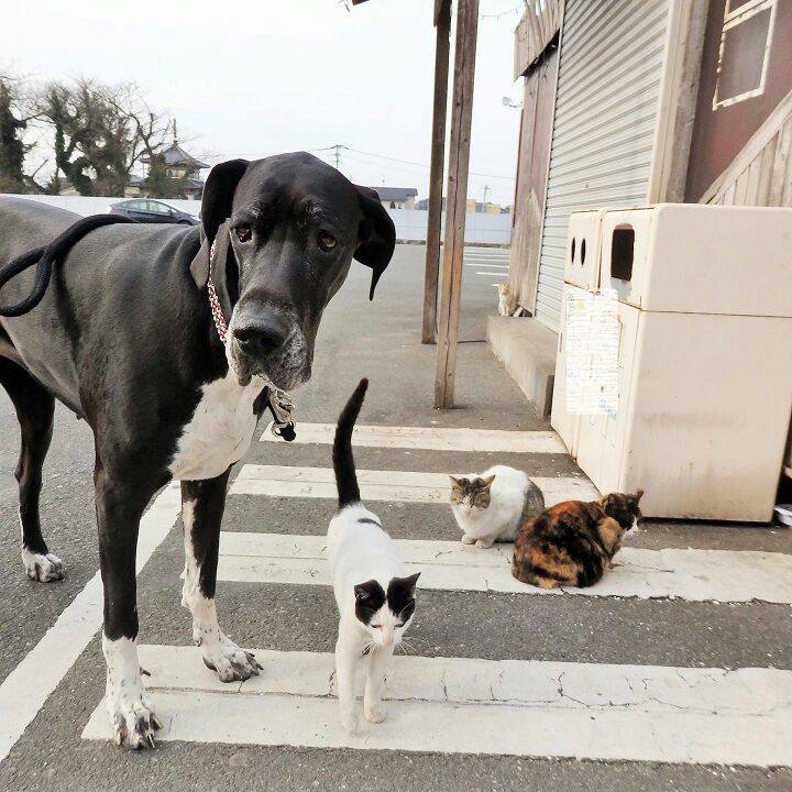 705b2f26 2508 486f 8fd1 b40fc508a72a