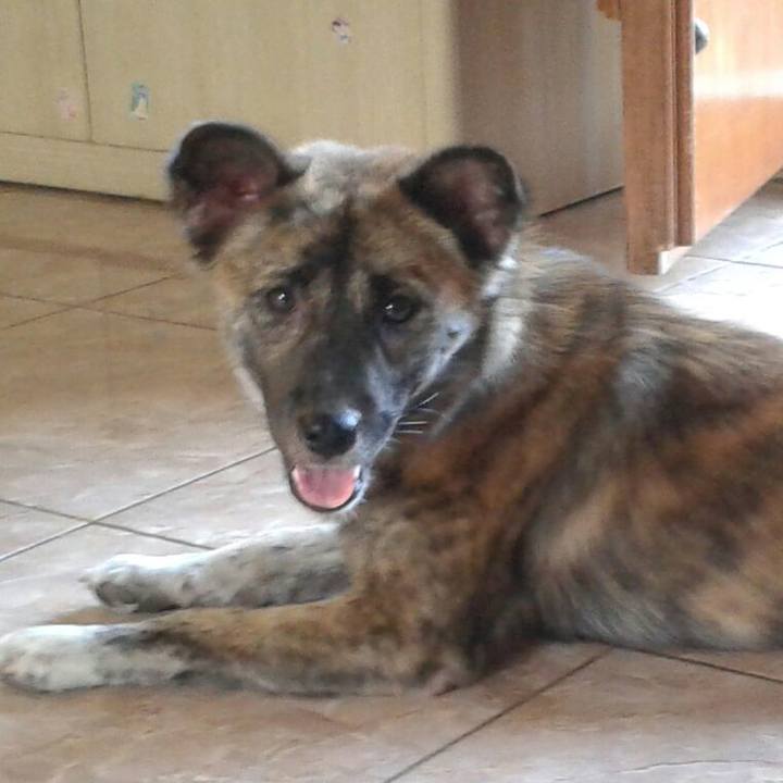 705b73a4 8daf 4c19 8297 3dfeffb4e76e