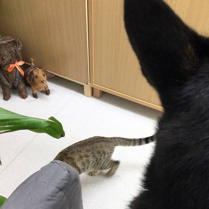 705b99ee 3a26 4b78 9689 832edea01f92