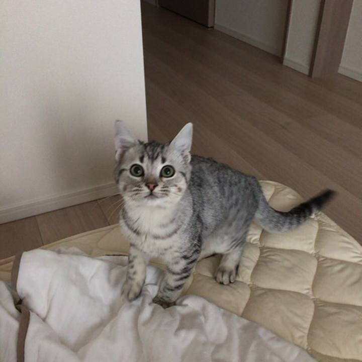 705bd01c 7f9e 4f1d ae55 a47b979d1a29