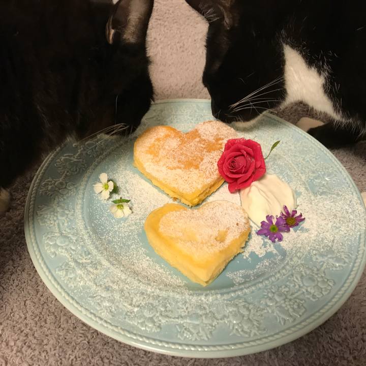 705c2682 8032 4b58 b45e 54160dcbcab3