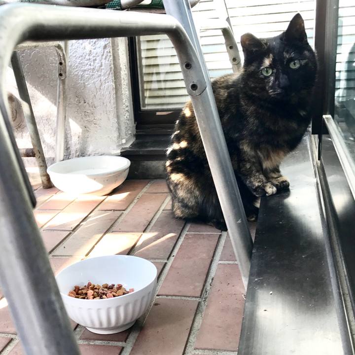 705c9388 85d0 46a8 bece 9efb10d1c77e