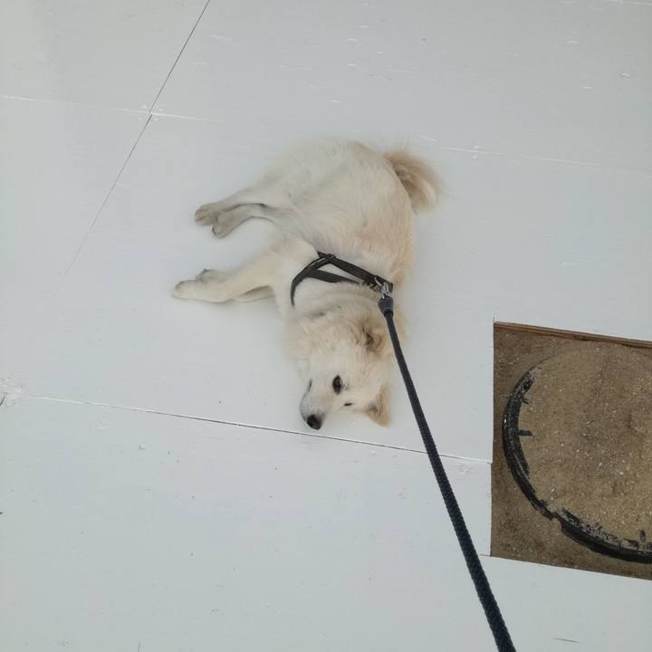 705c960e 5145 4460 97f4 5727838a39c1