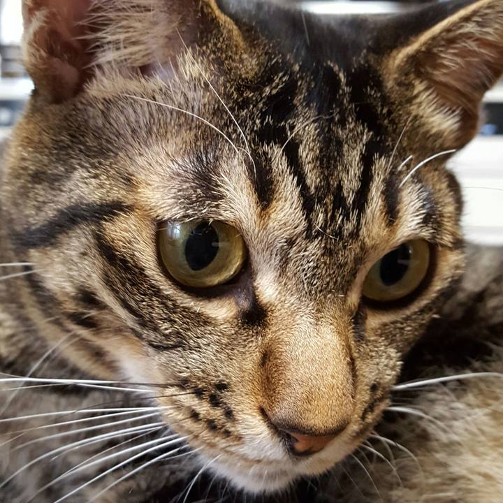 705ca85a 8cb2 48b4 b2c7 a763872473d3