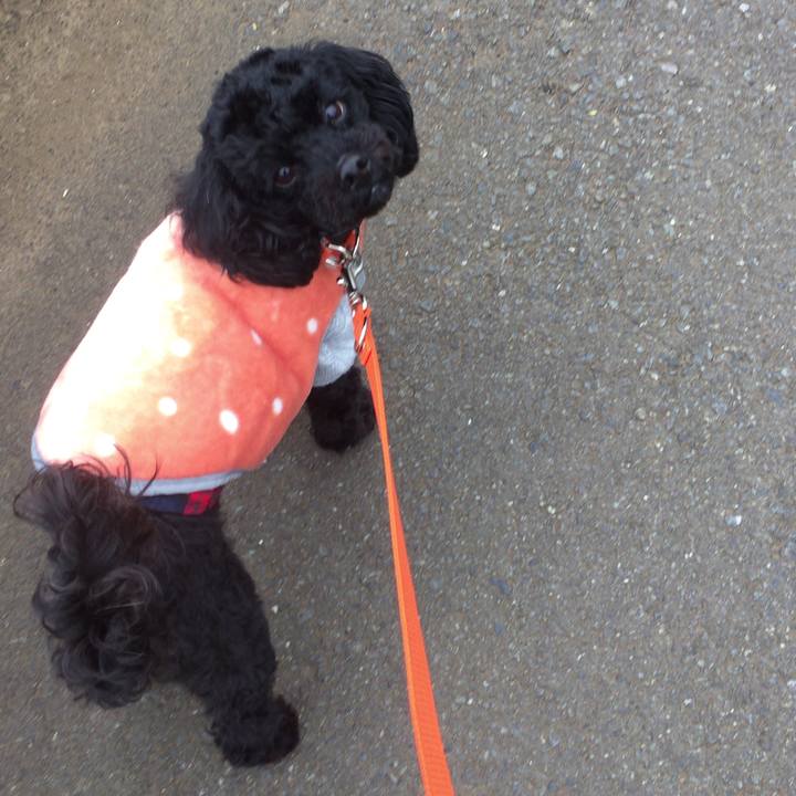 705cd801 5548 4ec0 8636 1bfc814f109e