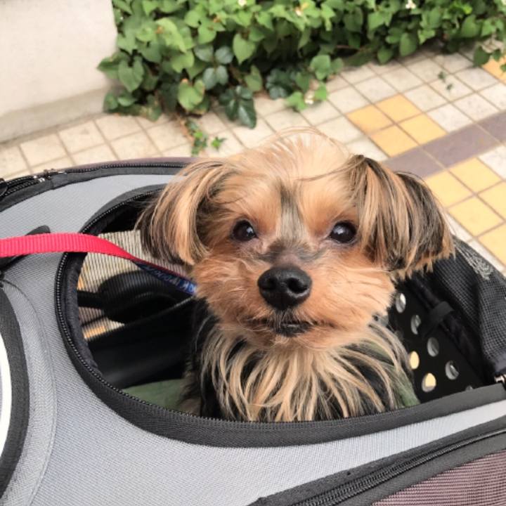 705da861 3110 4569 933e 07181a5868c8