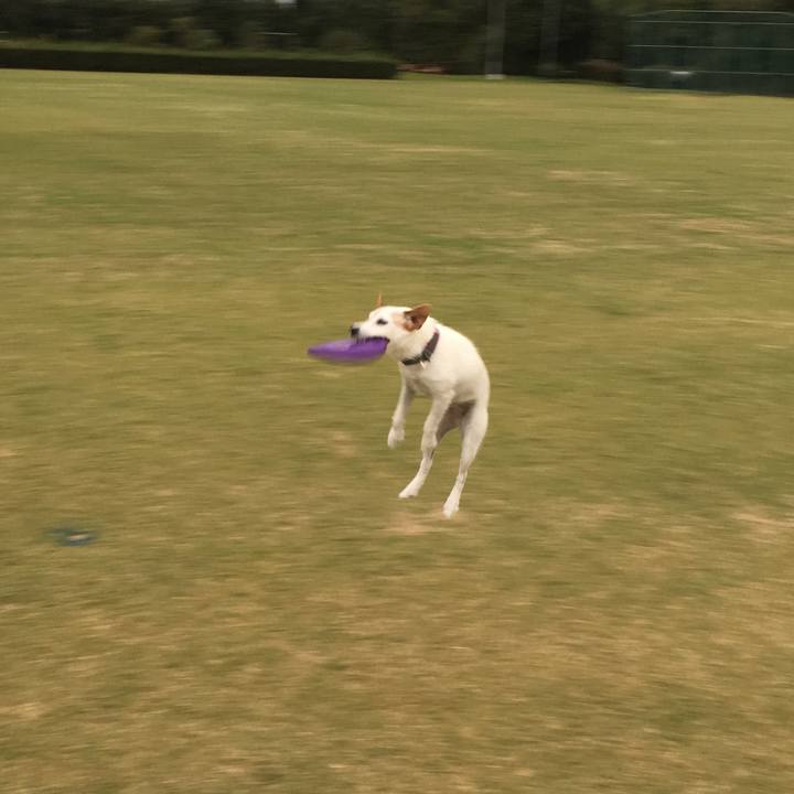 705e1246 f707 433f 9c98 91de7d92b908