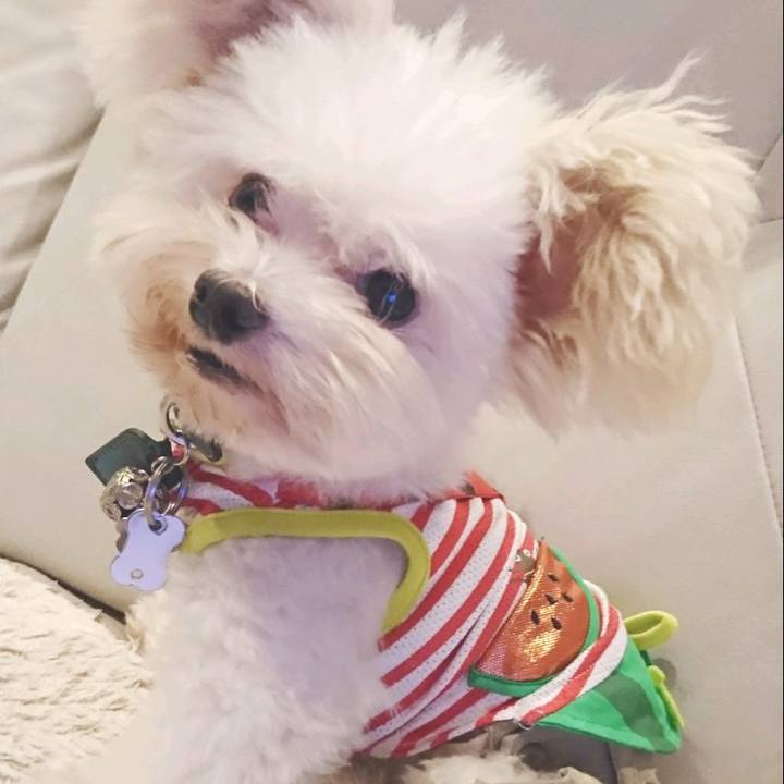 705ec5d2 3f9a 41b3 bcaa 85c7acb5dfd9