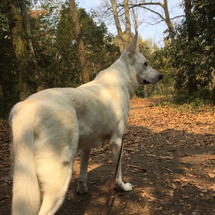 705ee621 ed67 48f1 8ac5 9daa13b8b2cd