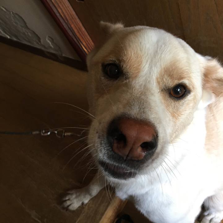 705ef335 ca38 4690 ae1b 76a7a1e7ee3a