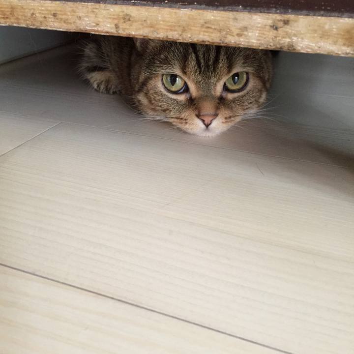 705f525f de3b 4f0c 9058 d3b90f699dfc