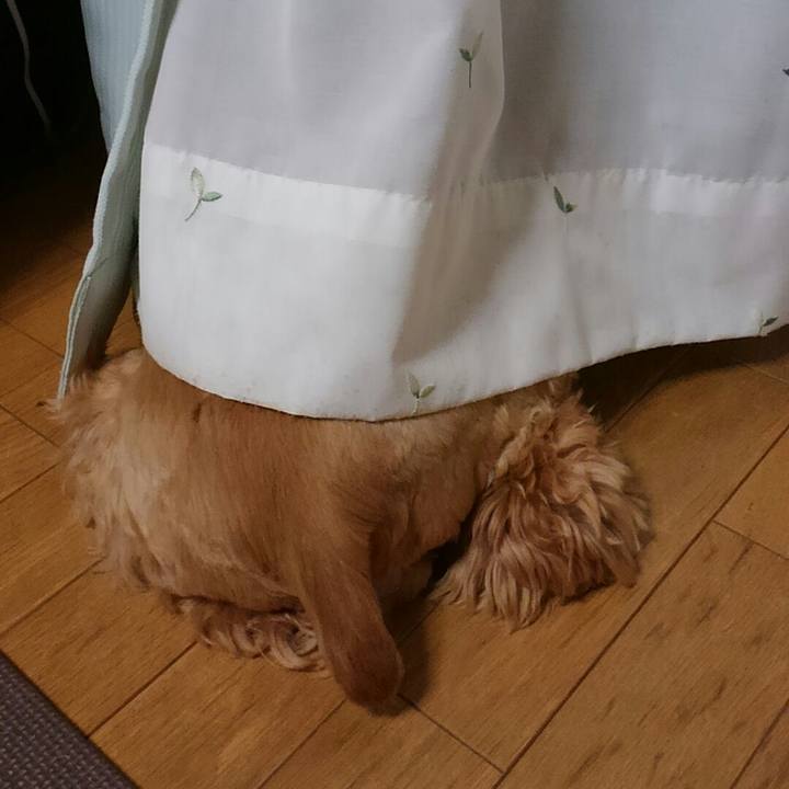 705f5c6a ed00 44e9 a4ca bb63832363dd