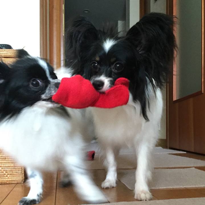 705f7629 6620 4c4a 8fb5 e216eb363270