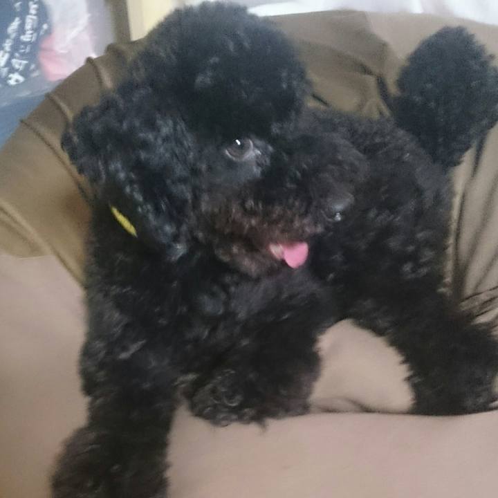 70601c02 5d13 4e9b 9f8d fbabad897528