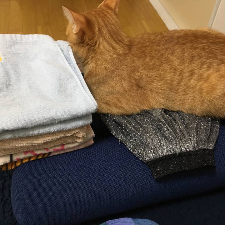 70602baa 6bcf 4559 b58e 4953550606d4