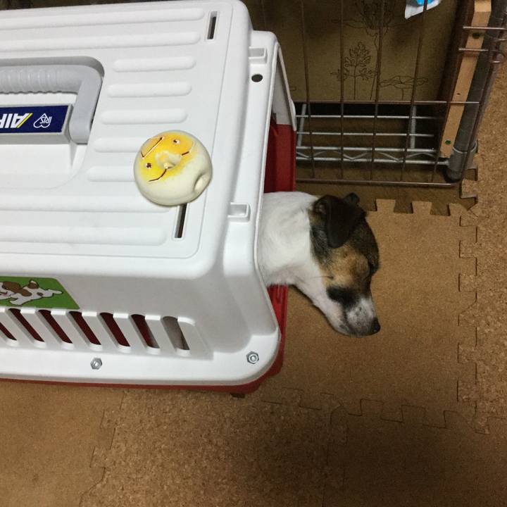 70610206 a813 40f2 be06 3bd2b2e73c2b