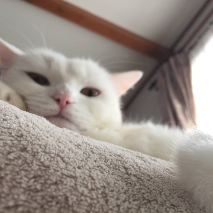 7061fde1 7a43 422c a952 0d2dc4f88083