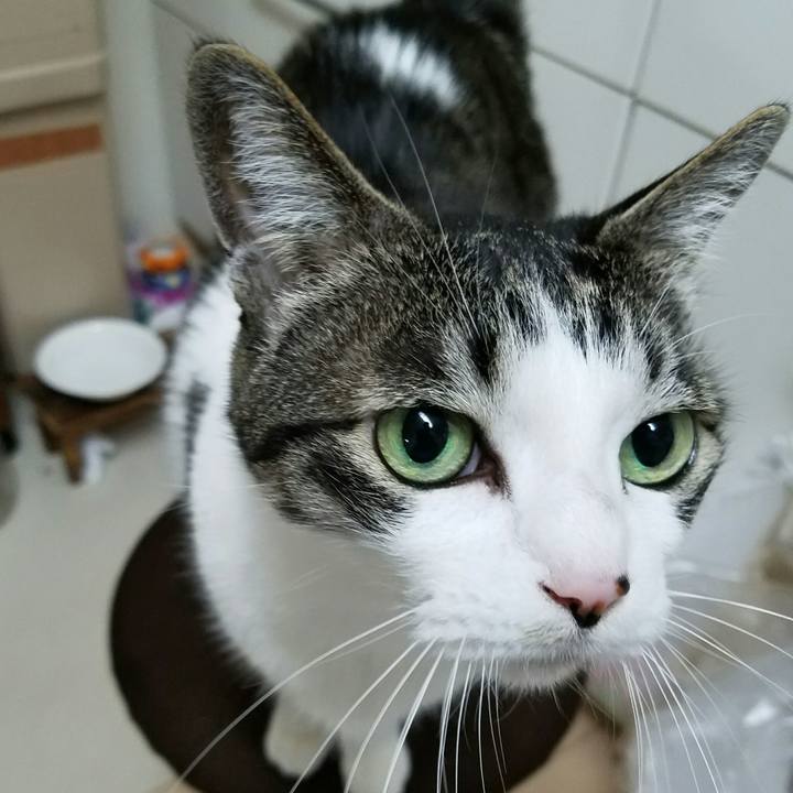 70620046 8c44 495c 8076 35de5168ee72