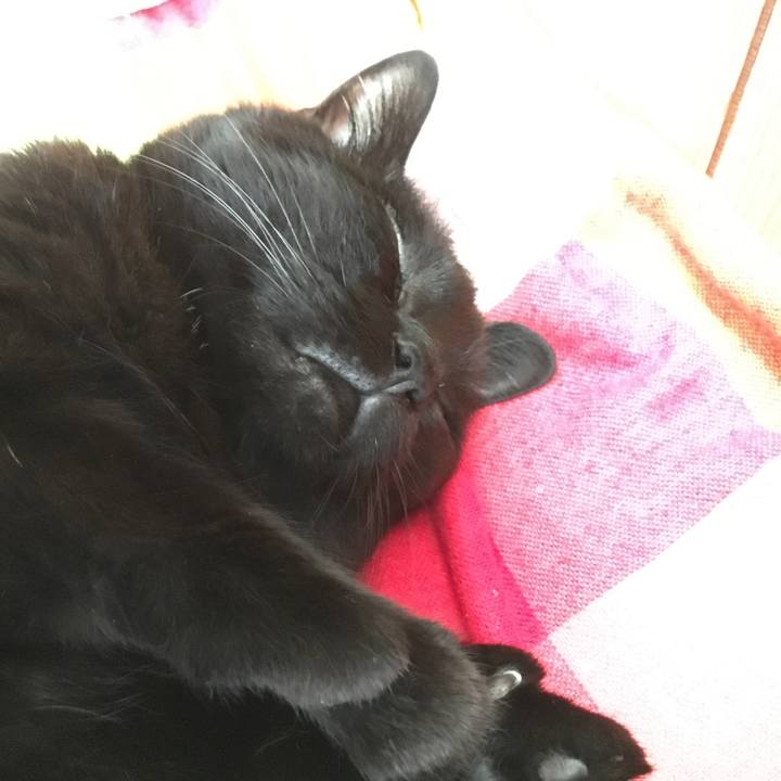 70628cb6 41c1 421d a17d 06711215a75c