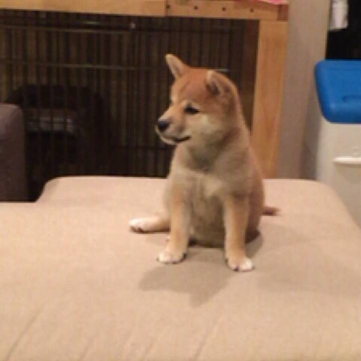 7062cdd8 f7fd 4b53 8bad ce073d893d68