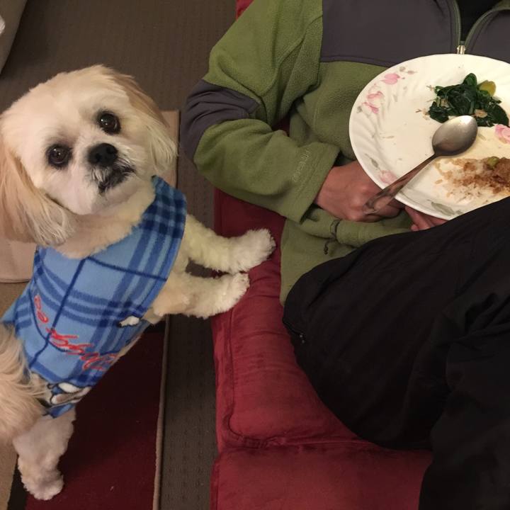 7063eda6 9a41 4fcb 9072 6c645e88e375