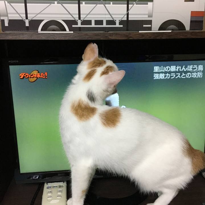 7064cba6 4086 4b93 8b75 cabd0b84ca31