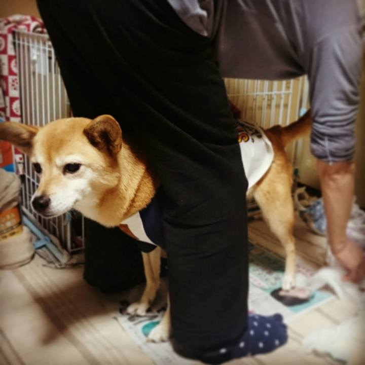 7064f267 a63f 4478 b583 3619bf71fc98