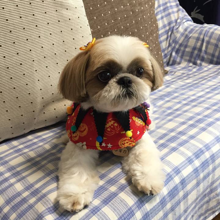 7065267b 1683 446b ae37 aeeb8df4d533