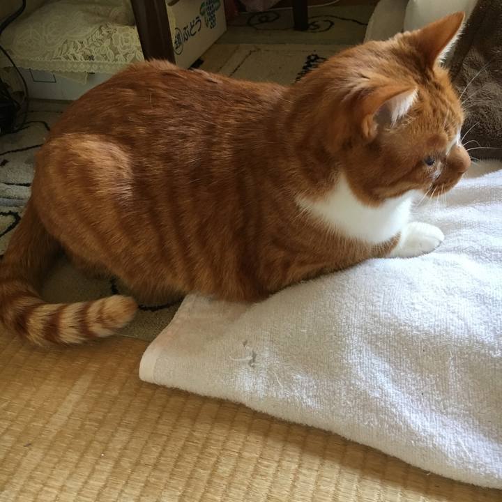 70652bfc 71fa 4b16 9749 1defc615bd96