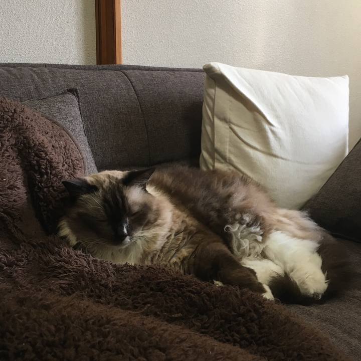 70657260 73d3 4376 aba7 9d3211099c2e