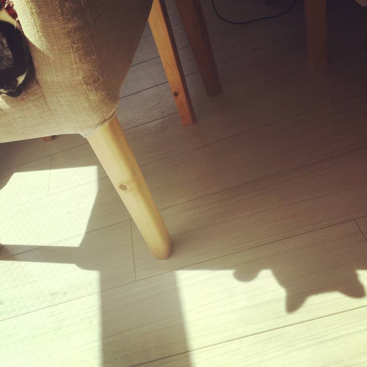 7065f499 67a4 4c2f ad09 1c8c43bda23b