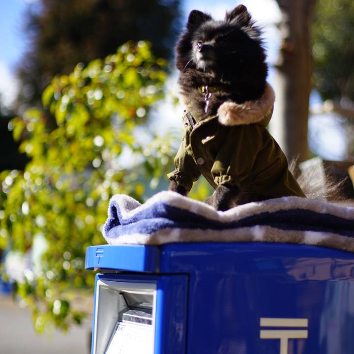 70660220 7354 414b bec1 443f7653de36