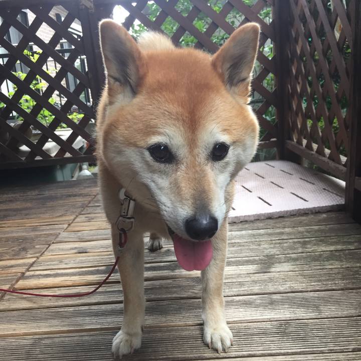 70663330 acdf 449f a101 d1362dc9b3e7