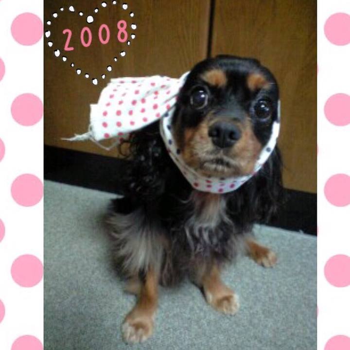 70664bf2 e37d 4630 9e0c 942cfa65a4a3