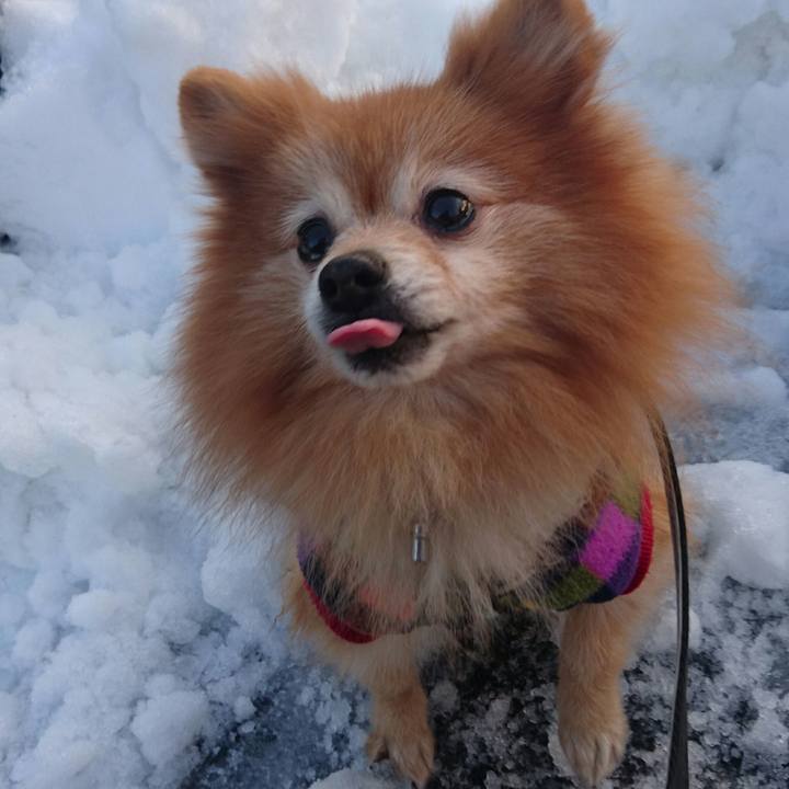 70664e1d b6df 423a 81c7 2650df8c8fbe