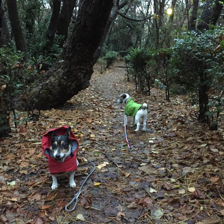 706663d5 cec6 48d9 b6a7 e7eb75bf60af