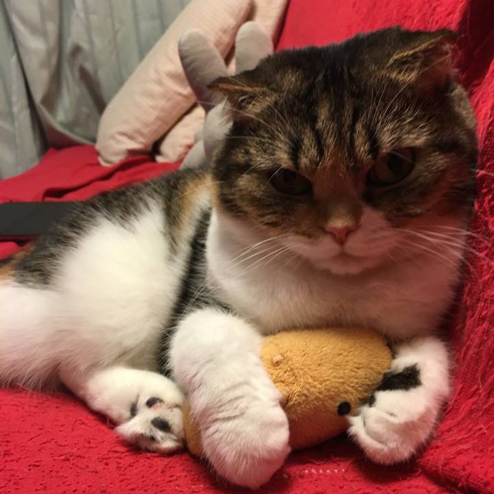 7067667b d8c9 4a90 a10d ce58e64f2ab3