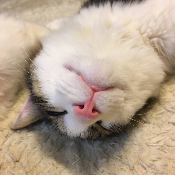 70677231 5eb7 46d8 8973 6ddc39f6b9d8